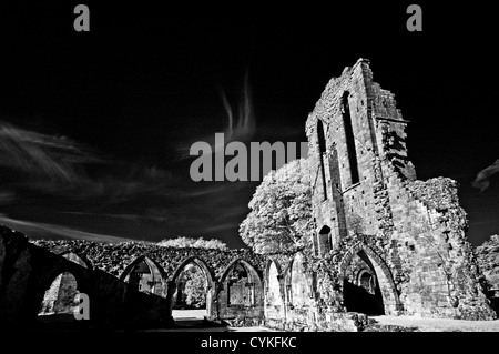 L'image monochrome infrarouge de Croxden Abbaye cistercienne ruines, près de l'usage éditorial Staffordshire Uttoxeter Banque D'Images