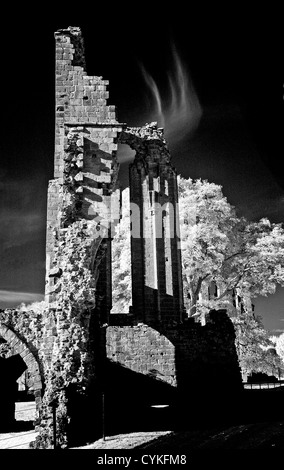 L'image monochrome infrarouge de Croxden Abbaye cistercienne ruines, près de Staffordshire Uttoxeter Banque D'Images