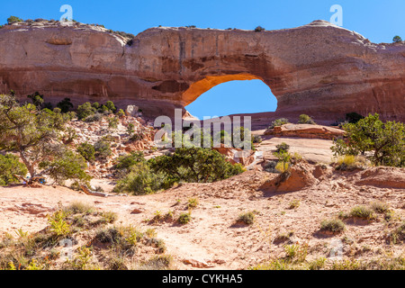 Situé à 24 km au sud de Moab sur l'US 191, Wilson Arch est une arche en grès naturel remarquable (appelée Entrada Sandstone). Banque D'Images