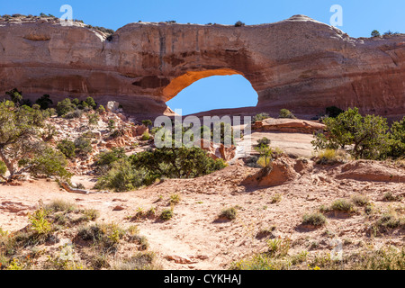 Situé à 24 km au sud de Moab sur l'US 191, Wilson Arch est une arche en grès naturel remarquable (appelée Entrada Sandstone). Banque D'Images