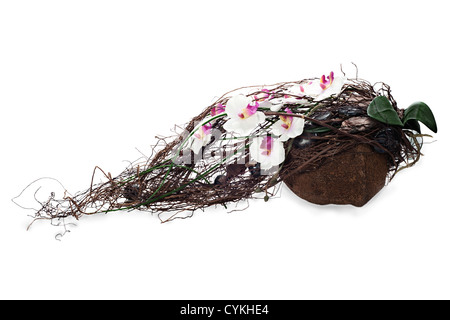 Composition abstraite à partir de noix de coco, d'orchidées, des rochers et des vignes isolé sur fond blanc Banque D'Images