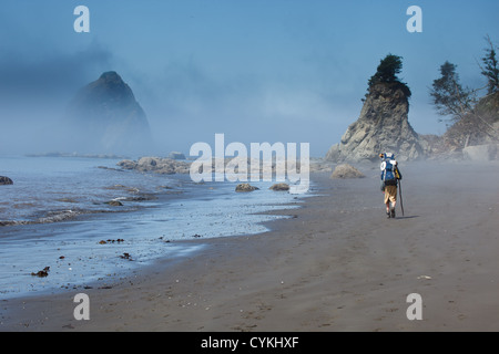 Randonneur sur une plage brumeuse Banque D'Images