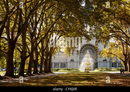 Avenue de l'arbre au royal exhibition centre, Carlton Gardens Melbourne Australie Victoria feuilles d'or jaune seasons Banque D'Images