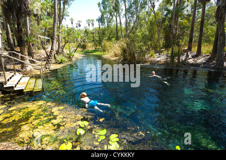 Bitter Springs, Territoire du Nord, Australie Banque D'Images