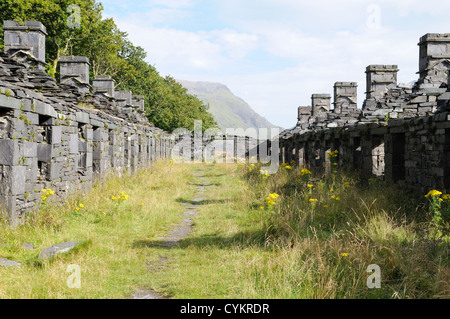 Ruines de la caserne d'Anglesey carriers's cottages Dinorwig Ardoise Elidir Fawr Llanberis Snowdonia, Pays de Galles Cymru UK GO Banque D'Images