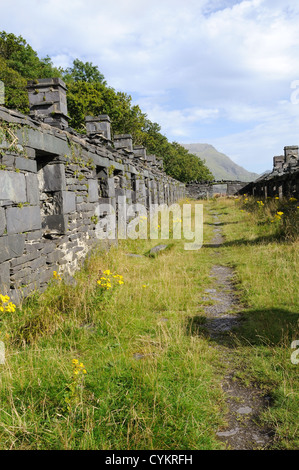 Ruines de la caserne d'Anglesey carriers's cottages Dinorwig Ardoise Elidir Fawr Llanberis Snowdonia, Pays de Galles Cymru UK GO Banque D'Images