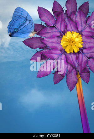 Close up of butterfly landing on flower Banque D'Images