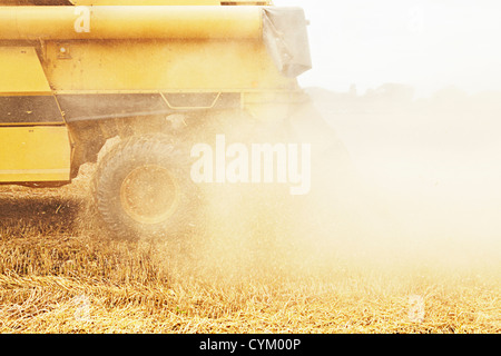 La récolte des cultures de céréales en tracteur field Banque D'Images