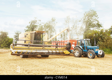 La récolte des cultures de céréales en tracteur field Banque D'Images