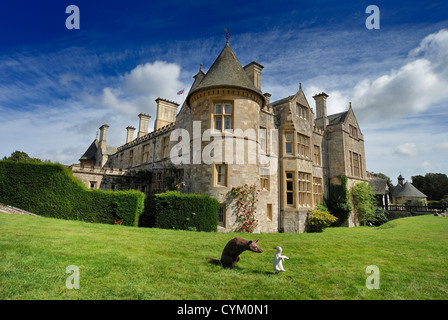 Un canard et un renard dans l'avant-plan de Beaulieu Palace House Banque D'Images