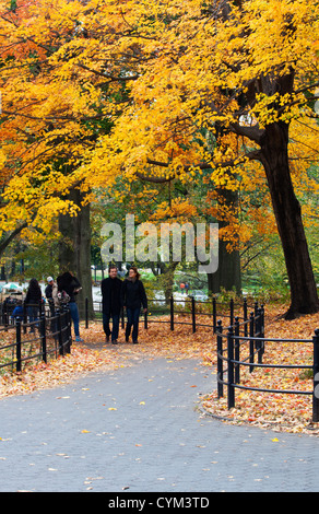Feuillage d'automne dans Central Park, New York Banque D'Images