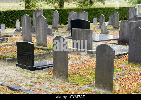 Pierres tombales différents sur un cimetière en automne Banque D'Images