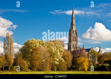 Une vue d'automne de la flèche de la cathédrale de Salisbury, Wiltshire médiévale, England, UK à travers l'eau 68 London Meadows. Banque D'Images