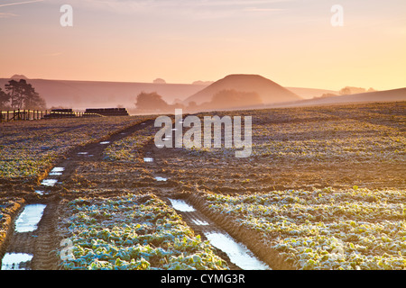 Lever de soleil sur l'automne glacial campagne du Wiltshire avec paysage néolithique iconique Silbury Hill dans la distance Banque D'Images