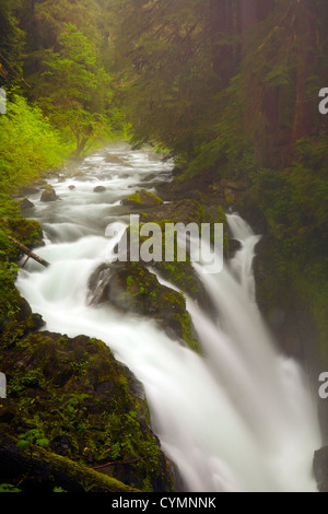 WA05717-00...WASHINGTON - Sol Duc Falls dans le Sol Duc Forêt tropicale du Parc National Olympique. Banque D'Images