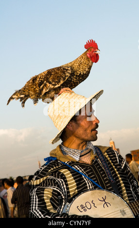 Un homme et son coq. Banque D'Images