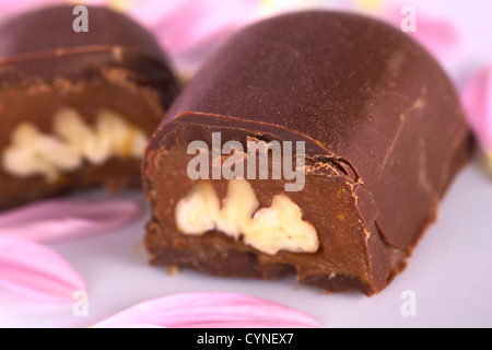 Deux moitiés de truffes noix de pécan entouré par des pétales de rose (Selective Focus) Banque D'Images