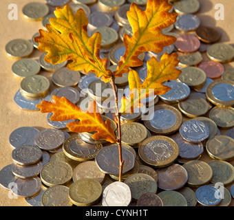 Les feuilles d'automne dans la pile de pièces de monnaie Banque D'Images