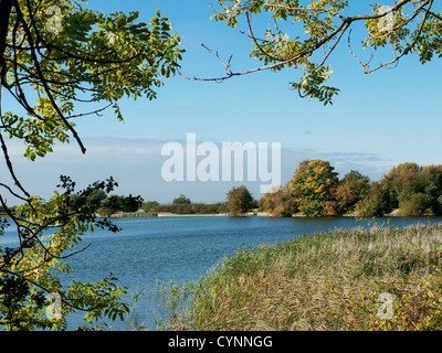 Une scène au début de l'automne à travers les lacs et réservoirs de Tring et Marsworth, España Banque D'Images