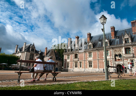 Le Château Royal de Blois, dans la vallée de la Loire, en France, situé dans le centre de la ville et la maison de plusieurs des rois de France Banque D'Images