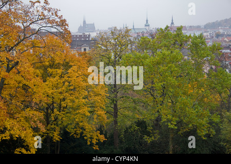 Jardin, la villa Tugendhat de Brno, République tchèque, Banque D'Images