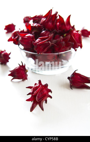 Roselle [Hibiscus sabdariffa] ,fleurs plantes rouge profond Banque D'Images