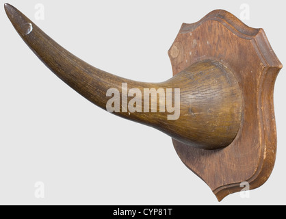 Une corne de rhinocéros, Afrique de l'est allemande, vers 1900. Pavillon robuste et magnifiquement incurvé monté sur une base en chêne en forme de bouclier. Bague de suspension sur le côté arrière. Longueur 41.5 cm. Poids sans base 1640 g, avec base 2350 g. Certification CITES disponible, historique, historique, 1900, 20e siècle, 19e siècle, chasse, chasse, chasse, ustensile, équipement, ustensiles, trophées, objet, objets, alambics, coupures, découpes, découpes, droits additionnels-Clearences-non disponible Banque D'Images