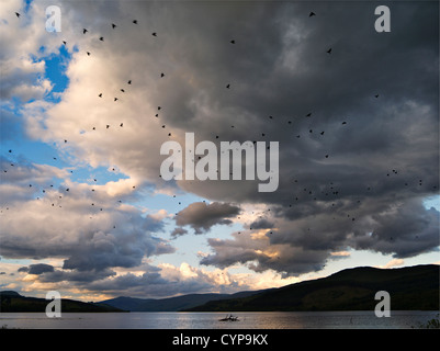 L'été sur le lac et recueillir stormclouds petites collines à Loch Tay, l'Ecosse, avec une grande bande d'oiseaux dans le ciel Banque D'Images