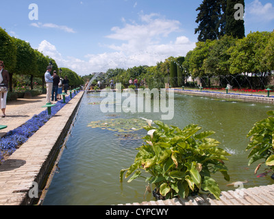 Jardins de l'Alcázar de los Reyes Cristianos à Cordoue en Espagne, dominé par des arbres fleurs piscines et fontaines Banque D'Images