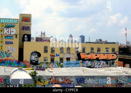 Graffiti sur un îlot dans le Queens, New York. L'Amérique. Banque D'Images