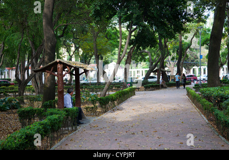 Parque Mexique chemins dans Condesa - Mexico DF Banque D'Images