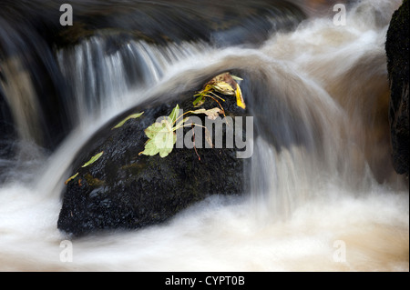 Cascades le long de la maison Scarr B6270 dans Swaledale entre Thwaite et Muker. Banque D'Images