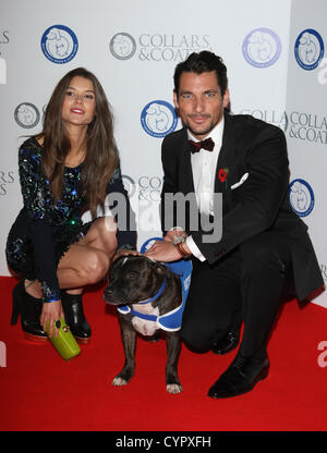 SARAH ANN MACKLIN & DAVID GANDY ET MANTEAUX COLLIERS BAL DE GALA LONDON ENGLAND UK 08 Novembre 2012 Banque D'Images