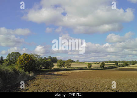 Campagne anglaise classique angleterre uk Banque D'Images