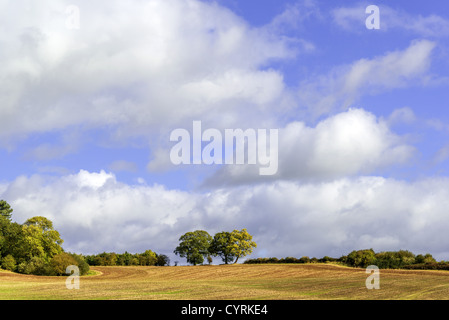 Campagne anglaise classique angleterre uk Banque D'Images