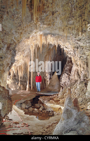 Texas cure-dents des formations calcaires de stalactites et stalagmites de Carlsbad Caverns National Park dans les montagnes Guadalupe dans le sud-est du Mexique. Banque D'Images