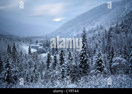 Au début de l'hiver Beauté, typique de la péninsule de Kenai, en Alaska, USA Banque D'Images