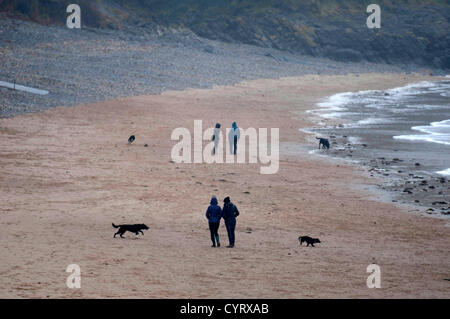 9 novembre 2012 - Swansea - UK - Personnes bravant la pluie pour marcher sur leurs chiens Langland Bay près de Swansea, cet après-midi. Banque D'Images
