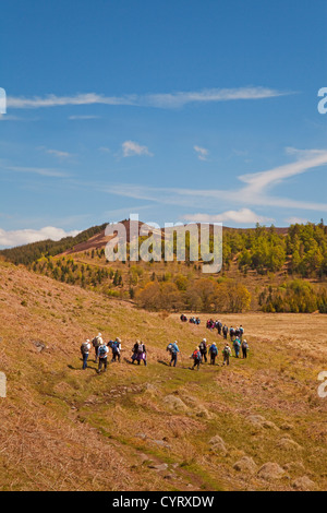 Un Club sur le Rob Roy chemin à travers les collines entre Aberfoyle Menteith et Callander Banque D'Images