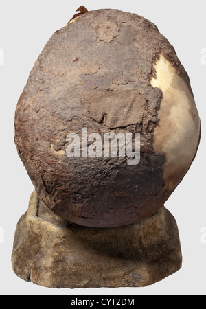 Crâne d'une momie égyptienne d'un enfant, troisième période intermédiaire, ca.1000 BC la tête préparée d'un enfant en conservant les cheveux rougeâtres-bruns dans les endroits.à l'arrière du crâne, il ya encore des morceaux des bandages avec lesquels la momie a été enveloppée.hauteur du crâne ca.16 cm.sous le verre dans une vitrine ébonisée Qui s'ouvre par un panneau coulissant.un panneau de verre manquant.Dimensions 28 x 21 x 36 cm.après la campagne égyptienne de Napoléon, l'archéologie égyptienne moderne a commencé en 1822 avec Jean François Champollion et Karl Richard Lepsius.les découvertes faites par ces hommes l,droits additionnels-Clearences-non disponible Banque D'Images