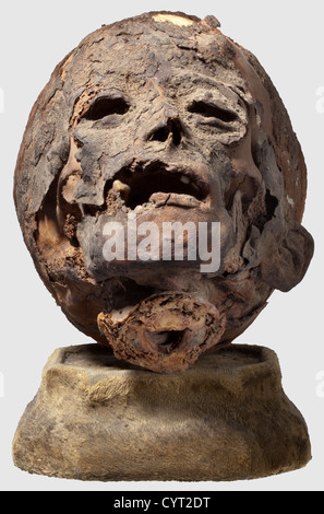 Crâne d'une momie égyptienne d'un enfant, troisième période intermédiaire, ca.1000 BC la tête préparée d'un enfant en conservant les cheveux rougeâtres-bruns dans les endroits.à l'arrière du crâne, il ya encore des morceaux des bandages avec lesquels la momie a été enveloppée.hauteur du crâne ca.16 cm.sous le verre dans une vitrine ébonisée Qui s'ouvre par un panneau coulissant.un panneau de verre manquant.Dimensions 28 x 21 x 36 cm.après la campagne égyptienne de Napoléon, l'archéologie égyptienne moderne a commencé en 1822 avec Jean François Champollion et Karl Richard Lepsius.les découvertes faites par ces hommes l,droits additionnels-Clearences-non disponible Banque D'Images