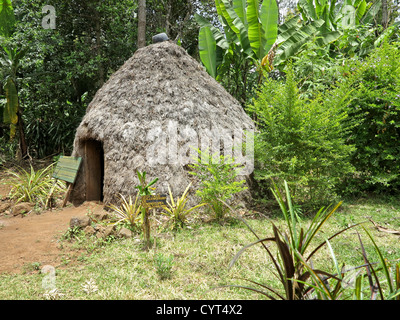 Maisons traditionnelles de l'Afrique de l'Est Tanzanie comme vu sur l'affichage à la Marangu Banque D'Images