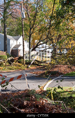 Dommages causés par l'Ouragan Sandy de Tenafly, New Jersey, USA. Un arbre tombé a retiré les câbles d'utilité. Banque D'Images