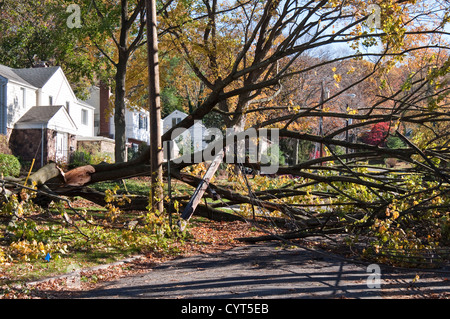 Dommages causés par l'Ouragan Sandy de Tenafly, New Jersey, USA. Un arbre tombé a retiré les câbles d'utilité. Banque D'Images