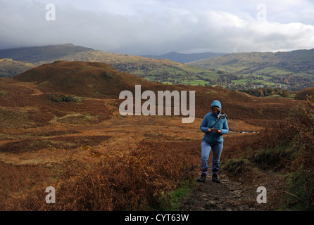 La vue sur Loughrigg est tombée près d'Ambleside Lake District Woman grimpant au sommet le jour d'automne Banque D'Images