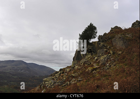 Vues autour de Loughrigg Ambleside est tombé près de Lake District Banque D'Images