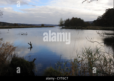 Vue sur le lac Windemere près du district du lac Ambleside au Royaume-Uni Banque D'Images