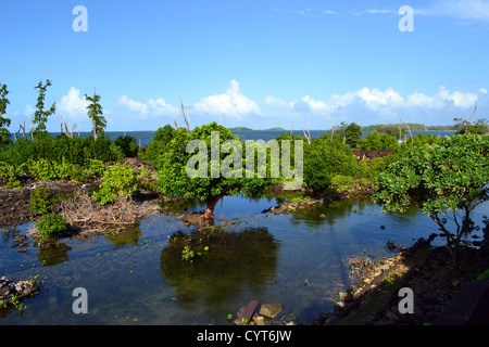 Ruines de la ville de Nan Madol, la 'Venise du Pacifique", district de Madolenihmw, Pohnpei, États fédérés de Micronésie Banque D'Images