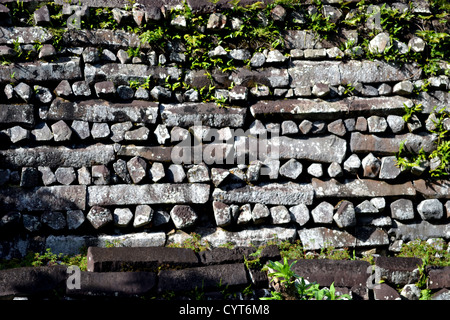 Ruines de la ville de Nan Madol, la 'Venise du Pacifique", district de Madolenihmw, Pohnpei, États fédérés de Micronésie Banque D'Images