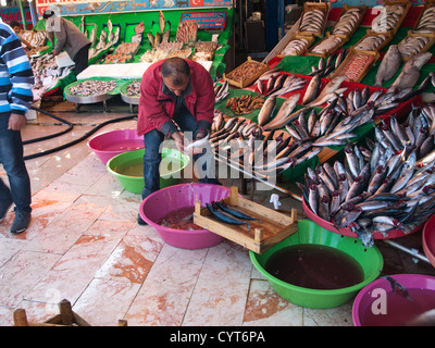 Matin, marché aux poissons de Kumkapi Istanbul TURQUIE, poissons frais du bateau, le nettoyage du poisson pour l'affichage Banque D'Images